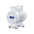 ChemSafe 307 Air Operated Double Diaphragm Plastic Pump with PTFE Seat, PTFE Ball, Overmolded PTFE Diaphragm, PTFE Fluid Path & NPT Port