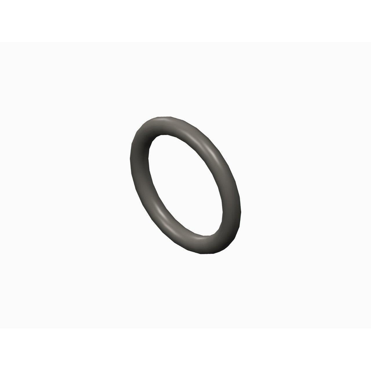 O-RING,PTFE,2-013