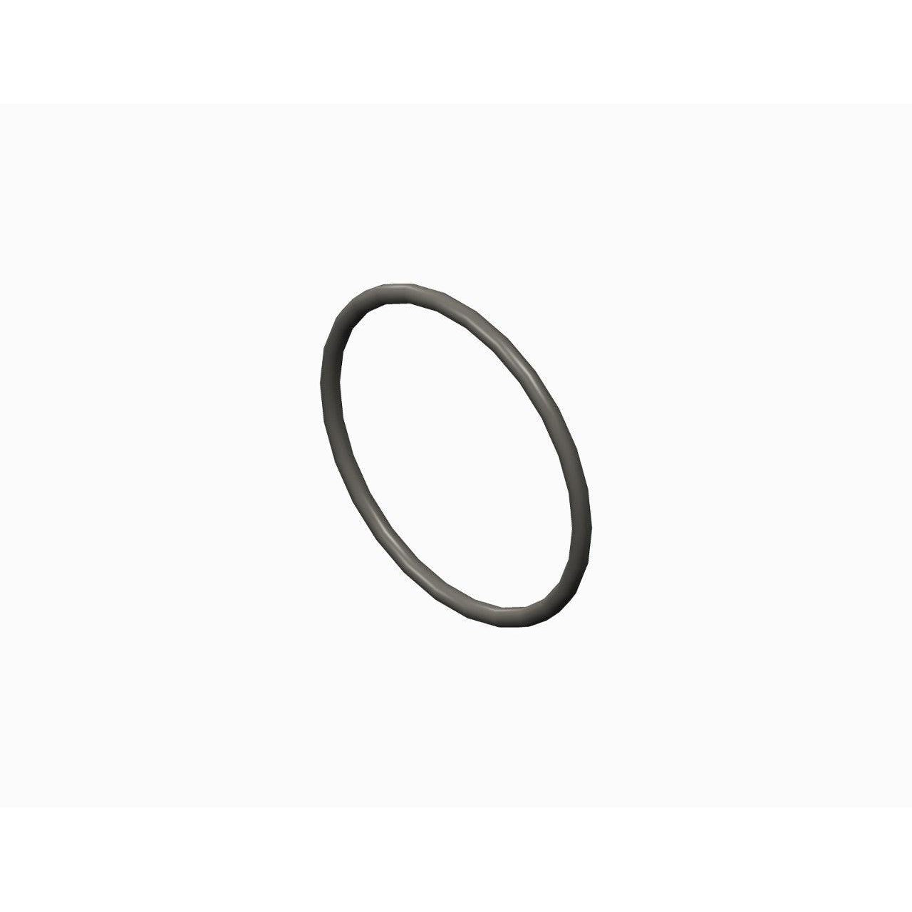 O-RING,PTFE,2-025