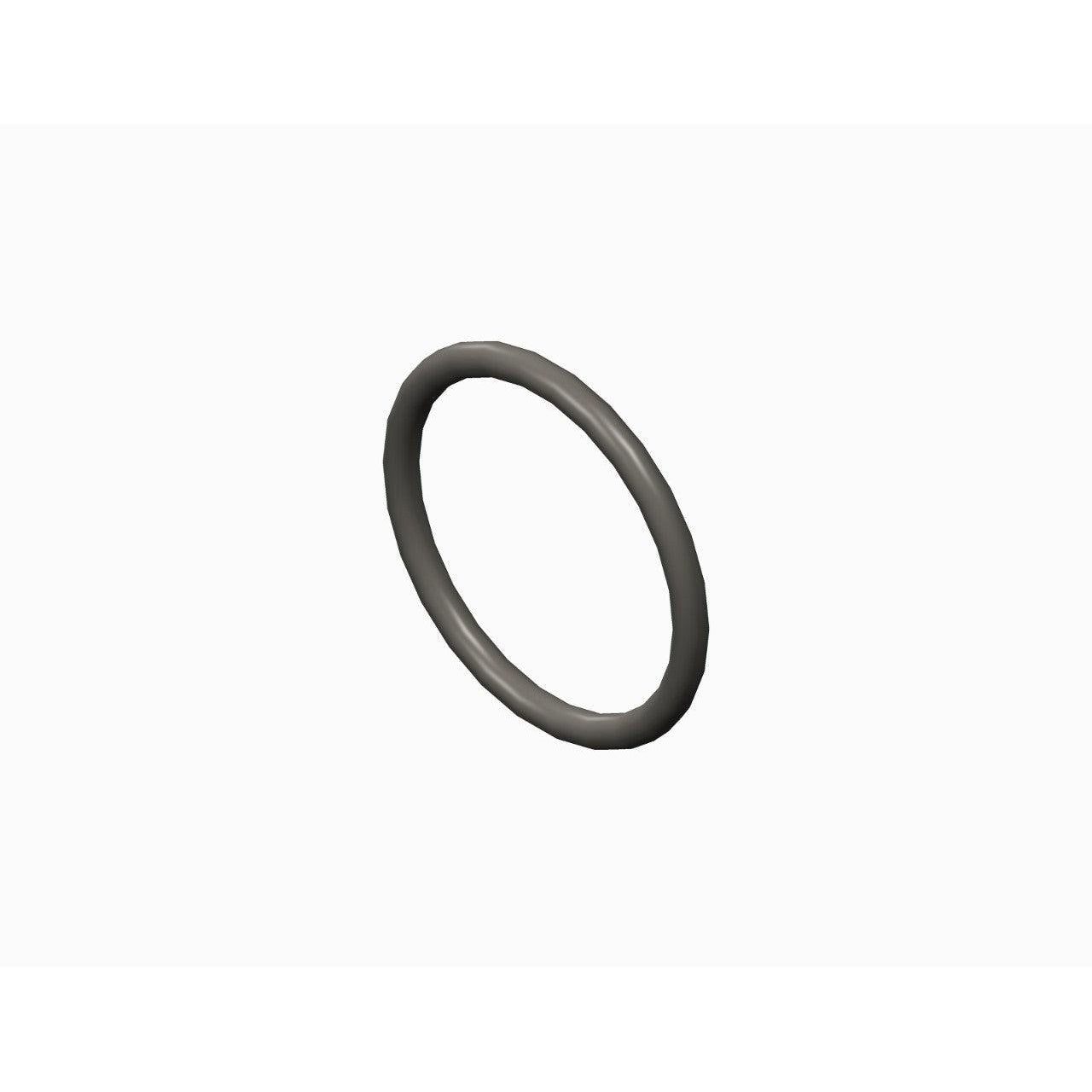 O-RING,PTFE,2-121