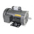 Motor - 1/2 HP, 115/230 VAC, 1,725 rpm, Single Phase, 56C with Feet